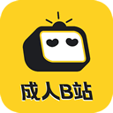 成人B站
